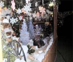 View 3  Christmas Spectacular  G. Flemming