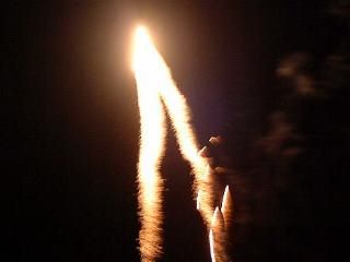 Pic's by Mrs V. L Flemming ((c)04/11/99