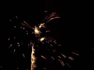 Pic's by Mrs V. L Flemming ((c)04/11/99