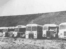 Trumans Buses