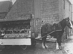 French Bros Greengrocers Cart note the motto (Cleanliness)