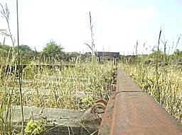 The end of the line Rusted Rails